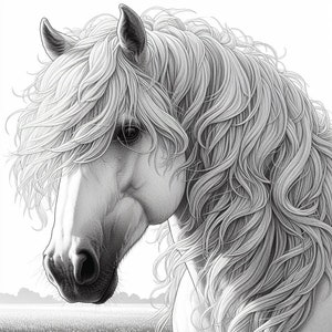 May include: A black and white drawing of a white horse with long flowing mane and forelock. The horse's head is turned to the side, and its eyes are closed. The horse is in a field of grass.