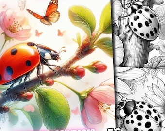 56 pagine da colorare coccinella, libro da colorare di animali primaverili, pagine da colorare di insetti, scala di grigi Scarica stampabile digitale per adulti e bambini Pdf