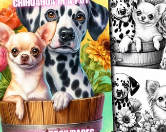 47 Disegni da colorare di cani dalmata e chihuahua in vaso, libro da colorare di cani dalmata e chihuahua in vaso, pagine da colorare stampabili per adulti