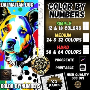 Coloring by Numbers, Digital Coloring, Paint by Numbers, Procreate Coloring, Ipad Coloring Printable Coloring By number Coloring Adults Pdf