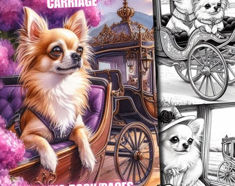 43 Cane Chihuahua in carrozza, Cani Chihuahua in carrozza Libro da colorare, Pagine da colorare in scala di grigi per bambini adulti Scarica stampabile