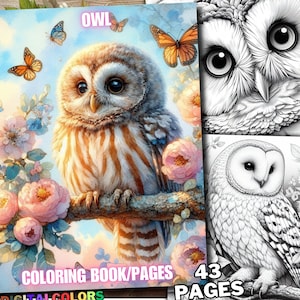 May include: A coloring book with 43 pages featuring an owl with pink flowers and butterflies. The title of the book is "OWL COLORING BOOK/PAGES".