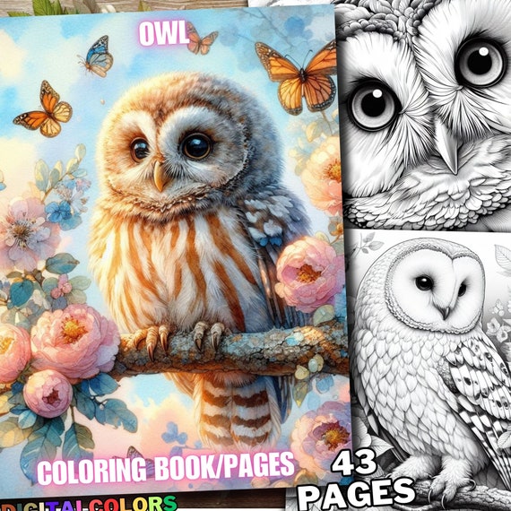 43 Owl Coloring, Bird Coloring Pages, Spring Animal Coloring Book, Grayscale for Adult and Kids Download Digital Printable Pdf