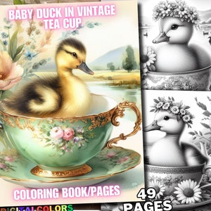 May include: A digital coloring book cover featuring a baby duckling in a vintage tea cup. The duckling has yellow and brown feathers and is set against a watercolor background. The tea cup is green with gold trim and floral accents. Text reads "Baby Duck in Vintage Tea Cup".