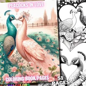 51 Peacocks in Love Coloring Pages, Valentine Peacock Coloring Book, Birds Coloring Grayscale for Adults and Kids Download Printable Pdf