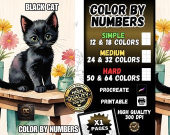 Coloring by Numbers, Digital Coloring Book, Paint by Numbers, Procreate Coloring Pages, Ipad Coloring, Printable Coloring Pdf Black Cat