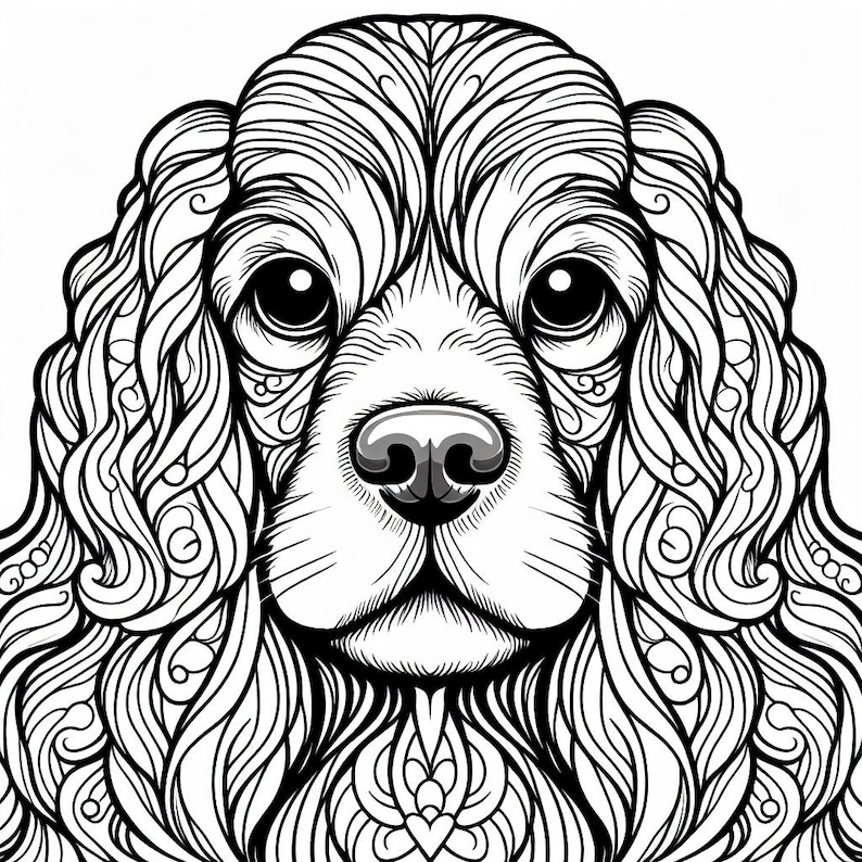 May include: Black and white line art illustration of a cocker spaniel dog with intricate details in the fur. The dog's face is centered in the image with its eyes, nose, and mouth clearly visible.