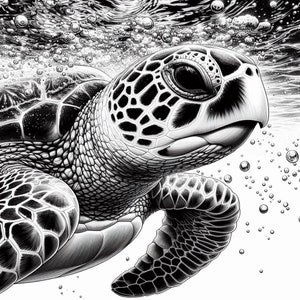 125 Ocean Animals Coloring Pages, Sea Creatures Coloring Book, Life ...