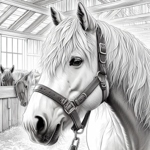 May include: A black and white drawing of a horse with a halter. The horse has a long, flowing mane and tail. The horse is looking to the left.