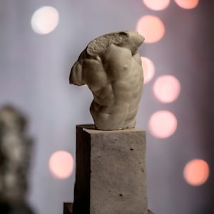 Estatua de hormigón del torso de Gaddi, escultura del torso masculino de cemento, esculturas clásicas del griego antiguo imagen 5