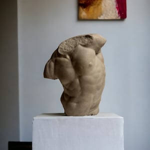 Estatua de hormigón del torso de Gaddi, escultura del torso masculino de cemento, esculturas clásicas del griego antiguo imagen 3