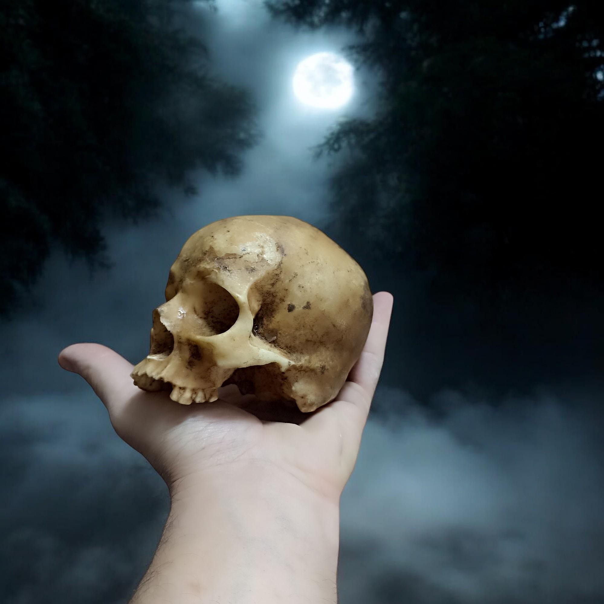 Realistische replica menselijke schedel hars, Halloween-decor, Halloween-cadeau, gotisch woondecor,