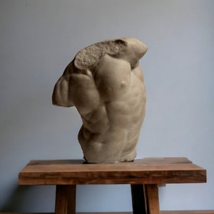 Estatua de hormigón del torso de Gaddi, escultura del torso masculino de cemento, esculturas clásicas del griego antiguo imagen 2