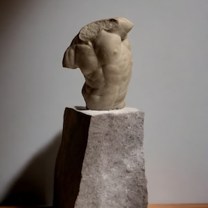 Estatua de hormigón del torso de Gaddi, escultura del torso masculino de cemento, esculturas clásicas del griego antiguo imagen 10