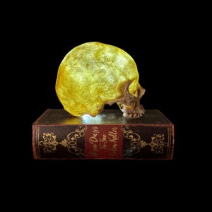 Realistic Human Skull Lamp Shade, Aged Resin Skull Table Lamp, Gothic Halloween Home Decor