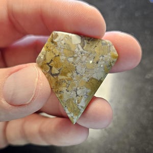 Ohio Vanport Flint Cabochon
