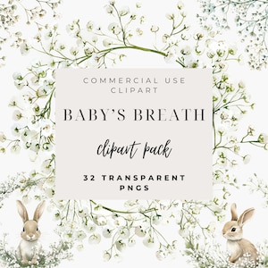 Clipart floral de aliento de bebé, clipart de invitación de boda, descarga instantánea, clipart de Pascua de aliento de bebé, gypsophila blanca, aliento de bebé png