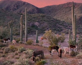 Wild Burro Arizona Landscape Print: Southwest Wildlife Decor (Digital Download)
