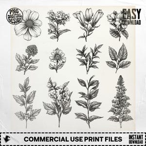 Clipart floral PNG, Flor PNG, Descarga digital floral, Botánico PNG, Clipart de flores, Flores digitales, Descarga digital PNG