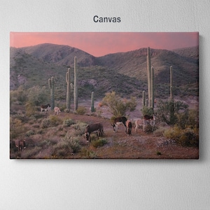 Arizona Landscape with Donkeys | Donkey Decor | Donkey Fine Art Canvas | Saguaro Landscape and Burros | Wild Burros | Wildlife Canvas Print