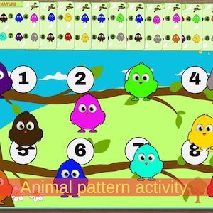 Bird Pattern Activity for toddlers, Colors Matching and Fine Motor Skills, homeschool activity, preschool worksheets