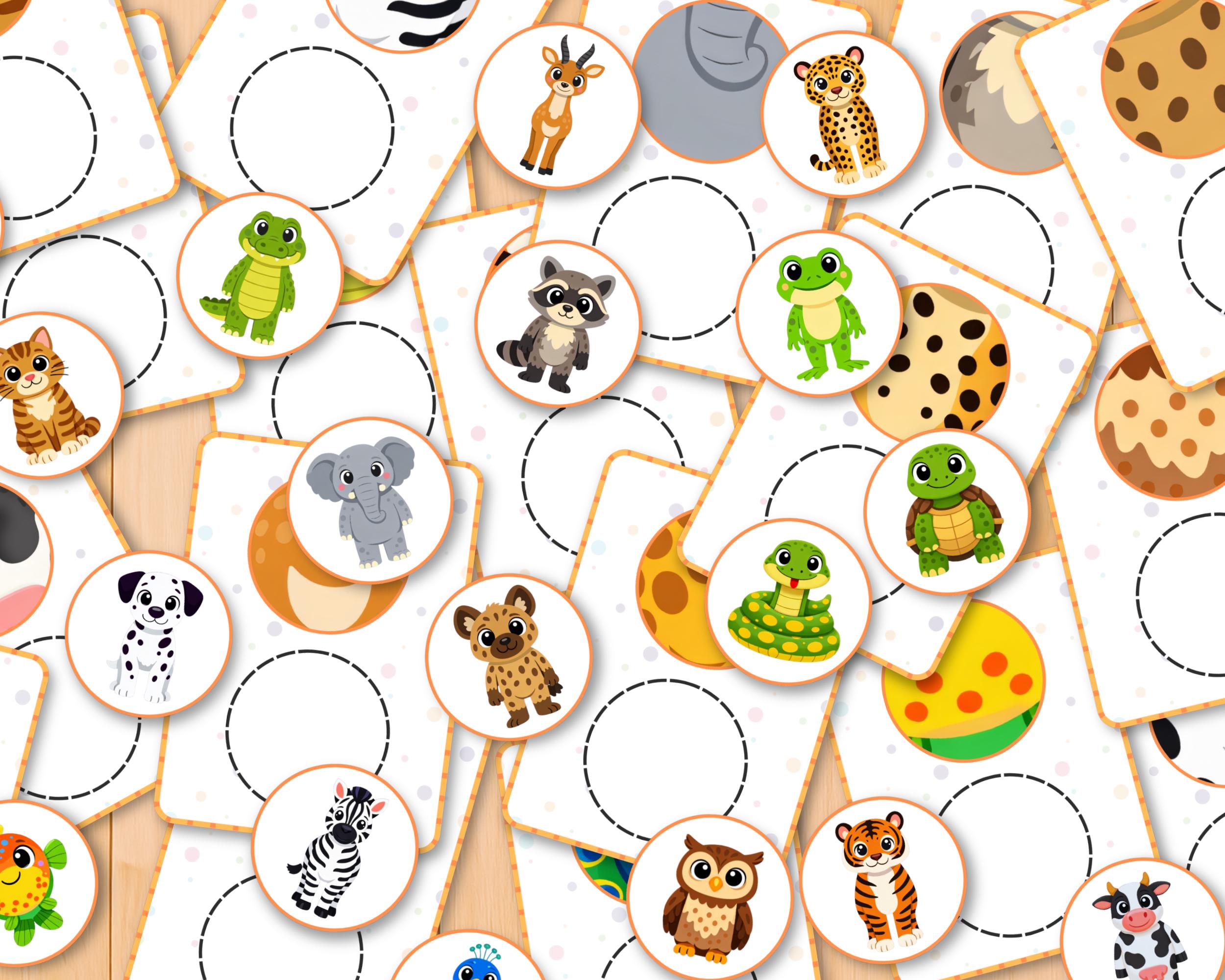 Close up Visual Matching Activity, Preschool, Animal Learning Cards for ...