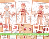 Human Anatomy Package for Kids, Preschool Curriculum, My Body Printable Activity, Organs Flashcards, montessori
