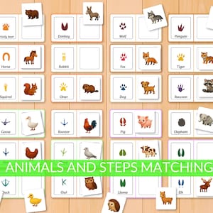 Matchningskort med djurspår, spel med djurens fotspår, Montessori-naturaktivitet för barn, förskoleläroplan