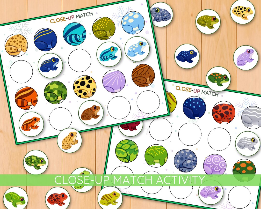 Frogs Close Up Matching Activity, Visual Discrimination Game, Preschool ...