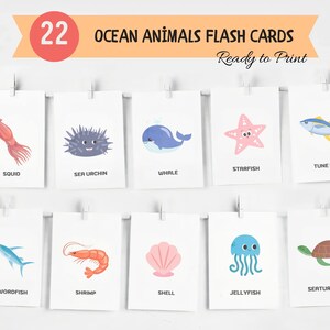 22 Ocean Animals Cards, Montessori flash cards, Preschool Cards, Rainbow Educational Printable Cards, animals flash cards, kindergarten