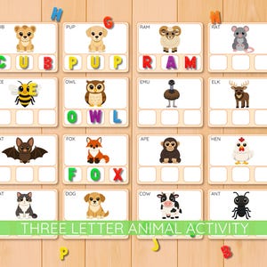 May include: Educational activity with animal illustrations and letter tiles. Features images of a cub, pup, ram, rat, bee, owl, emu, elk, bat, fox, ape, hen, cat, dog, cow, and ant. The text "THREE LETTER ANIMAL ACTIVITY" is displayed.