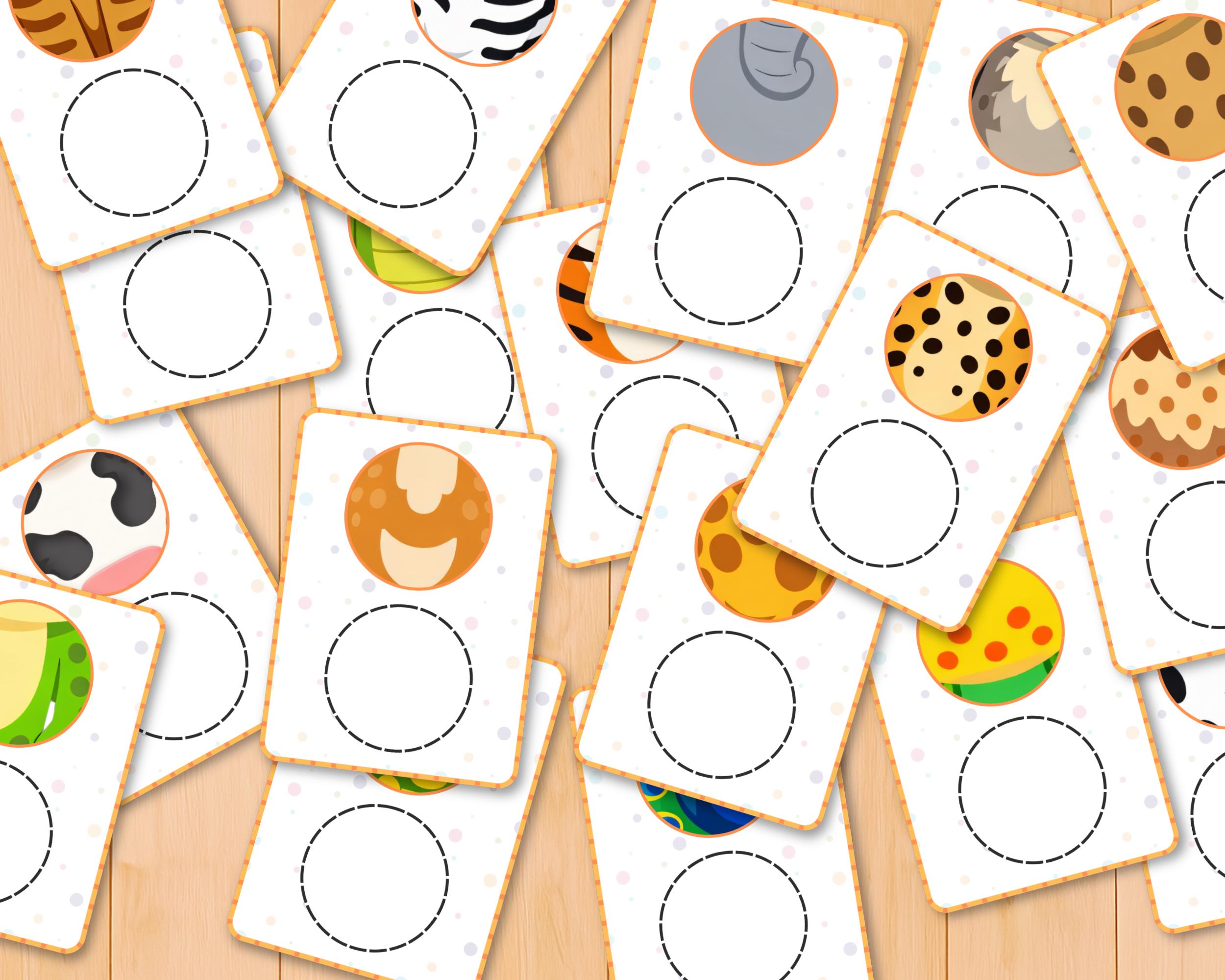 Close up Visual Matching Activity, Preschool, Animal Learning Cards for ...