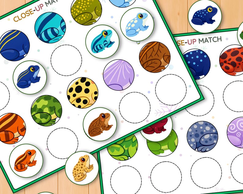 Frogs Close up Matching Activity, Visual Discrimination Game, Preschool ...