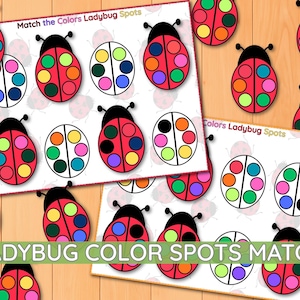 Puede incluir: Hojas de actividades educativas tituladas Match the Colors Ladybug Spots y LADYBUG COLOR SPOTS MATCH con ilustraciones de mariquitas rojas con cabeza negra y puntos circulares de varios colores, junto a círculos blancos con puntos de colores.