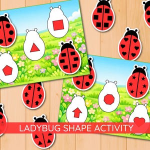 Può includere: Attività educativa con forme di coccinelle ed esercizi di abbinamento. L'immagine mostra coccinelle rosse con pois neri e carte bianche a forma di coccinella con forme geometriche rosse. Lo sfondo raffigura un campo verde con fiori e cielo blu.