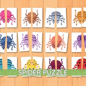 May include: A set of twelve rectangular cards featuring cartoon spiders in various colors including pink, brown, gray, orange, blue, purple, red, yellow, and maroon. Each card is split into two halves to form a matching spider puzzle game.