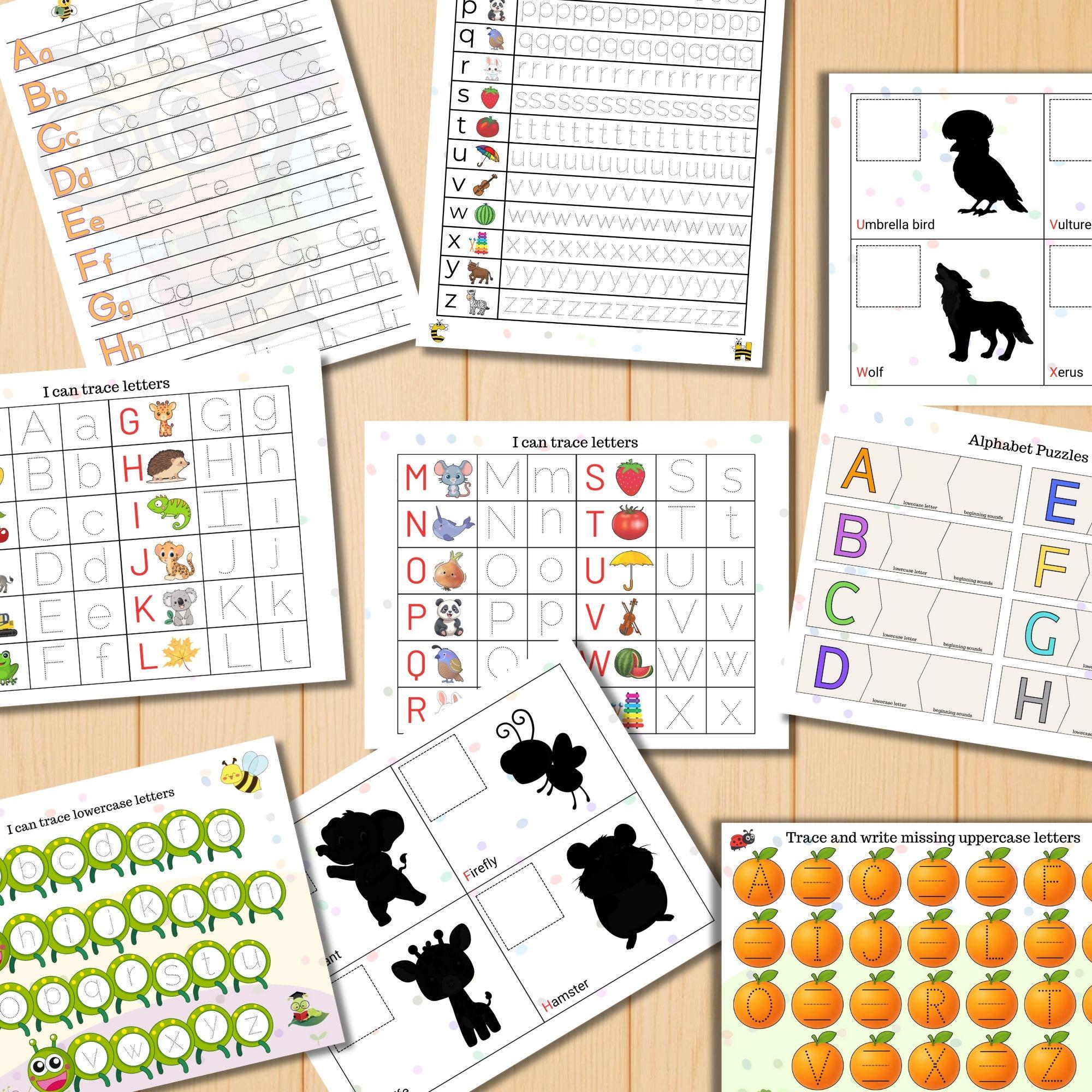 ABC Busy Book Printable for Preschool, Alphabet Matching & Tracing ...