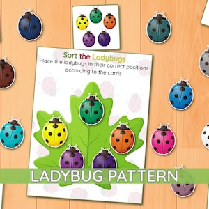 Puede incluir: Un conjunto de actividades educativas con una tarjeta central que muestra una hoja verde y el texto Sort the Ladybugs, rodeado de varios recortes de mariquitas coloridas en tonos azul, amarillo, morado, naranja, rosa, blanco y marrón.