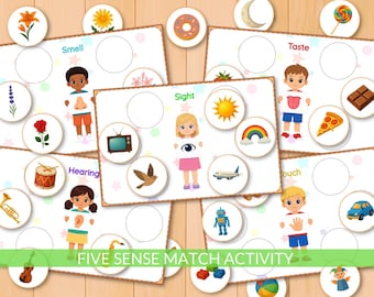 Actividad de emparejamiento de los cinco sentidos, actividades de aprendizaje sensorial, ciencias preescolares, motricidad fina, materiales Montessori