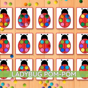 Pode incluir: Quinze cartões quadrados com uma ilustração de uma joaninha vermelha com seis recortes circulares nas costas. Cada cartão está preenchido com pompons coloridos e felpudos em vários tons, incluindo rosa, verde, laranja, azul, amarelo e roxo, em grade.