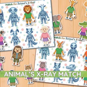 Animal X-Ray Matching Activity for kids, shadows activities, animal teheme worksheets, kindergarten, printable, toddler