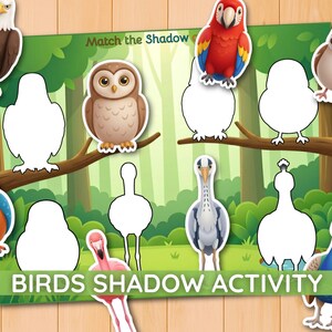 May include: A Birds Shadow Activity educational game sheet featuring a forest background with white bird-shaped silhouettes. The game includes colourful illustrations of an eagle, owl, parrot, sparrow, kingfisher, flamingo, heron, and peacock.