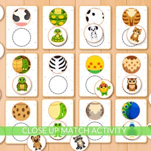 Op de afbeelding: Een kinderspel met dierenillustraties. Het spel bevat kaarten met dierenpatronen en bijpassende dierenafbeeldingen. De tekst "CLOSE UP MATCH ACTIVITY" wordt onderaan de afbeelding weergegeven. Het spel staat op een lichtbruine houten achtergrond.