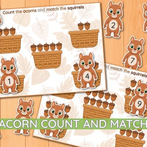 Puede incluir: Una hoja de actividades educativa titulada Count the acorns and match the squirrels con ardillas de dibujos animados marrones con números en sus vientres y cestas tejidas llenas de bellotas. El texto ACORN COUNT AND MATCH es visible.