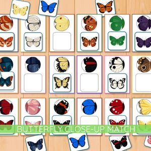 Op de afbeelding: Een verzameling vlinder-thema matching kaarten en individuele vlinderkaarten. De kaarten tonen close-up afbeeldingen van kleurrijke vlinders en bijpassende paren. De tekst "BUTTERFLY CLOSE-UP MATCH" staat op een groene banner.