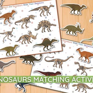 May include: A dinosaur matching activity set featuring two white sheets with colourful illustrations of various dinosaurs and their corresponding skeletons. The text Match the Dinosaurs With Their Skeletons is printed on each sheet with polka dots.