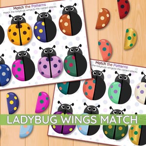 May include: A printable educational activity sheet titled Match the Patterns featuring cartoon ladybugs with missing wings. The set includes various colorful ladybug wing cutouts in red, orange, yellow, green, blue, purple, and pink with polka dots.