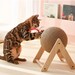 see more listings in the Cat Scratcher section