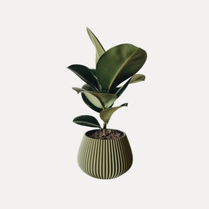 Olive Green Wavy Planter | Minimalist Eco-friendly Planter | Modern Home Decor | Cactus and Succulent Indoor Plant Pot | 3D printed Planter