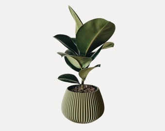 Olive Green Wavy Planter | Minimalist Eco-friendly Planter | Modern Home Decor | Cactus and Succulent Indoor Plant Pot | 3D printed Planter